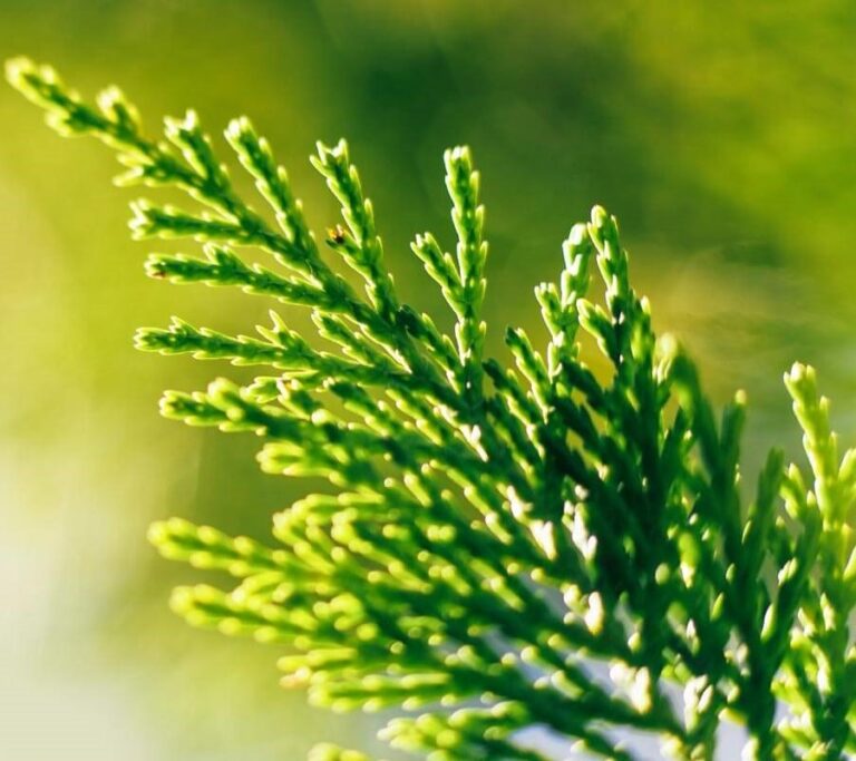 Calidad y Medio Ambiente