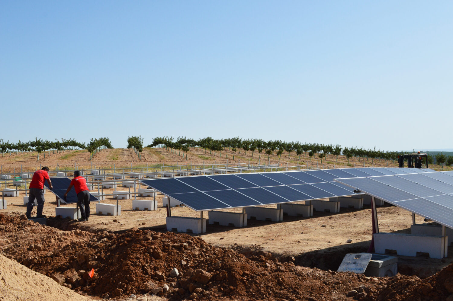 Planta fotovoltaica San Martín 08.09.2026
